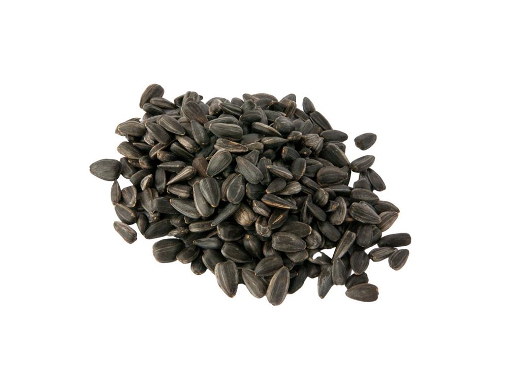 SONČNICE ČRNE AGROPROMET 20KG