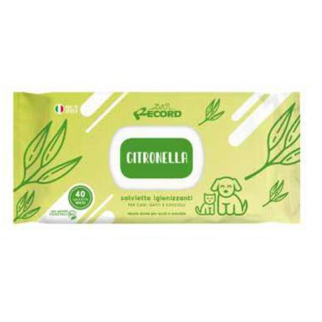 RECORD ČISTILNI ROBČKI LIMON.TRAVA 40KOS