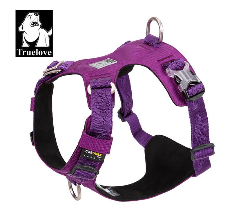 TRUELOVE OPRSNICA KOVINSKA VIJOLA XXS