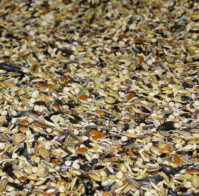 MANITOBA CARDELLINO MAJOR 15KG