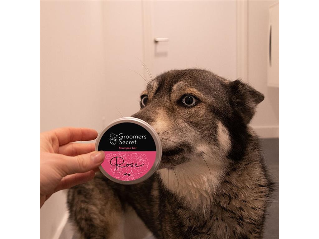 GROOMERS SECRET TRDI ŠAMPON 60G VRTNICA