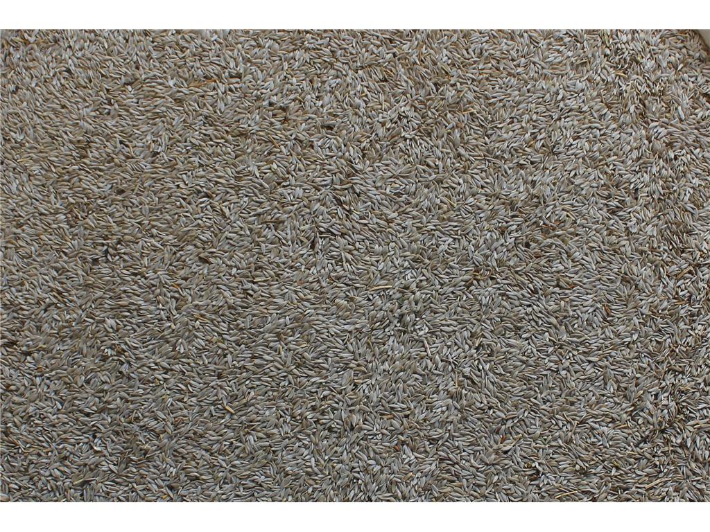 MANITOBA SOLATA BIANCA 1KG