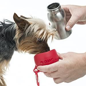 KONG H2O STEKLENICA ZA VODO 255ML ROZA