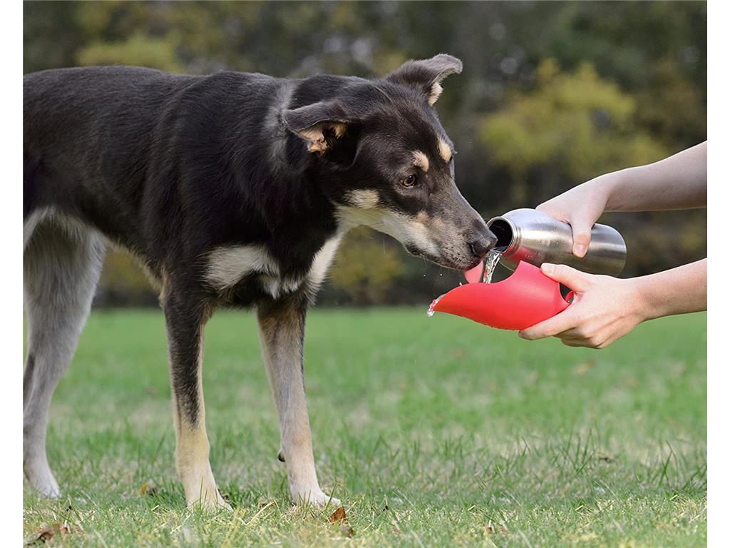 KONG H2O STEKLENICA ZA VODO 740ML ČRNA