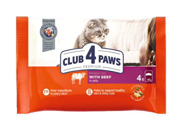CLUB4PAWS CAT GOVEDINA v želeju 4x85G
