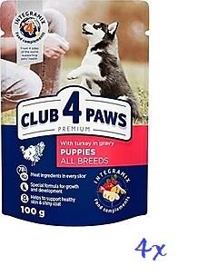 CLUB4PAWS - 4x PURAN v omaki - za mladičke