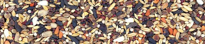 MANITOBA INDIGENA NEW 15KG