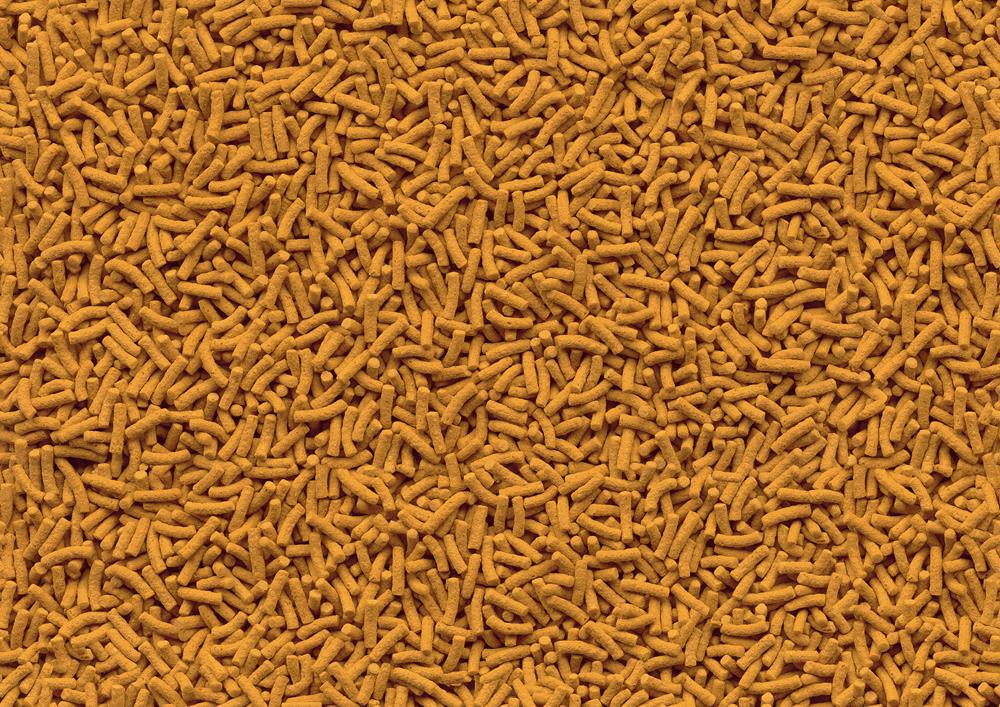 TETRA KOI STICKS 1000ml