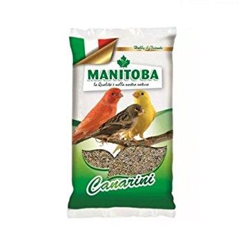 MANITOBA KANARČKI 4KG