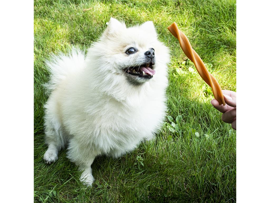GARDEN BITES SADJE V PALČKAH S 30PCS