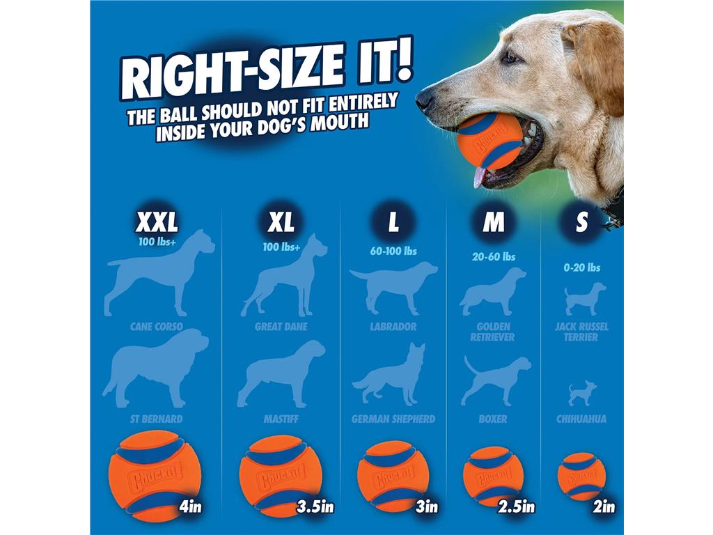 Chuckit SNIFF žoga, 2 kosa