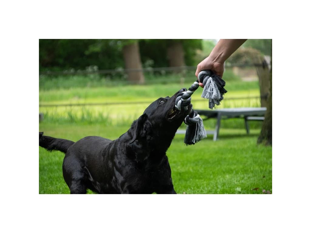 FLOSS TOSS VRV Z 4 VOZLI 85CM