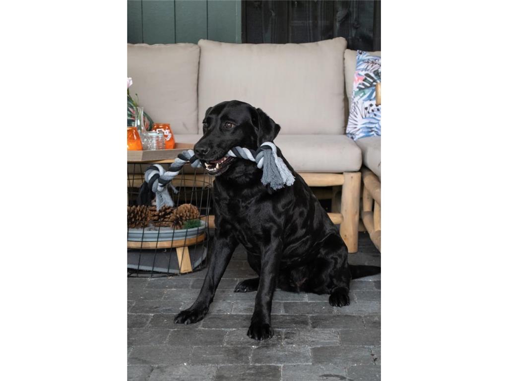 FLOSS TOSS VRV Z 4 VOZLI 85CM