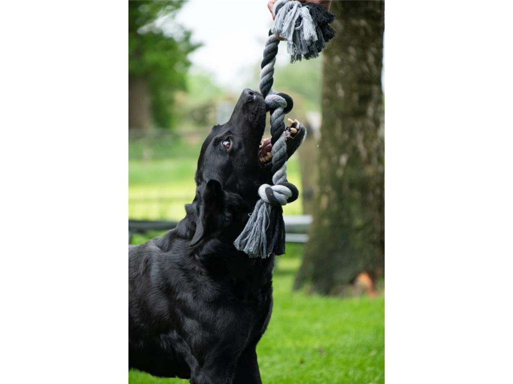FLOSS TOSS VRV Z 5 VOZLI 185CM