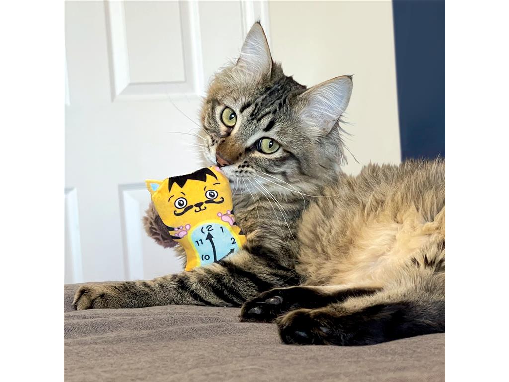 KONG IGRAČA ZA MUCE ARTZ DALL/VAN GOGH 2