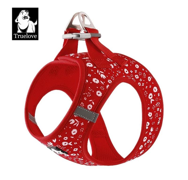 TRUELOVE OPRSNICA STEP IN POINSETTIA 3XS