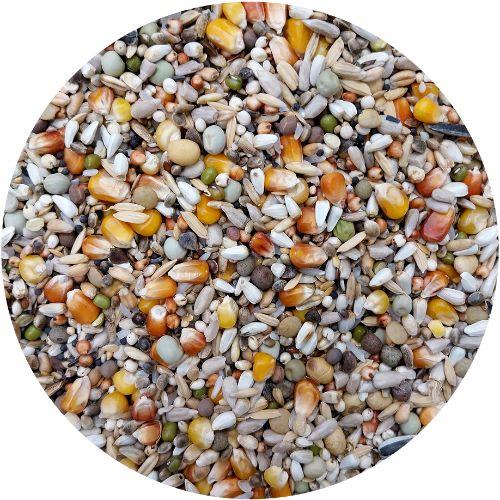 VL TRADITIONAL PREMIUM SPORT 20KG
