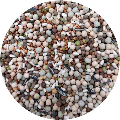 VL TRADITIONAL PREMIUM LIFE PROTEIN 20KG