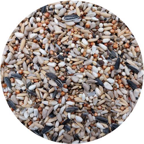 VL TRADITIONAL PREMIUM LIFE ENERGY 20KG