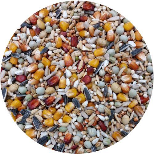 VL TRADITIONAL PREMIUM LIFE MIDDLE 20KG
