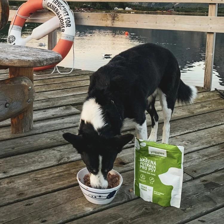 Yoggies kuhana pasja hrana – PURAN in KUNEC z bučnimi semeni, 150g