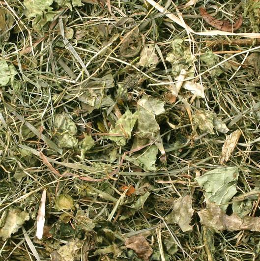 JR SENO PEGASTI BADELJ 500g