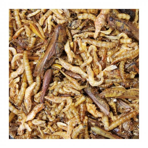 JR BELJAKOVINSKI KOKTEJL 75g