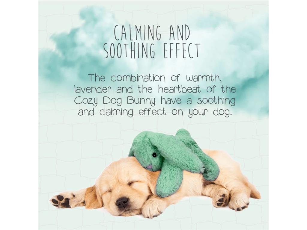 Cozy Dog Bunny - zelen