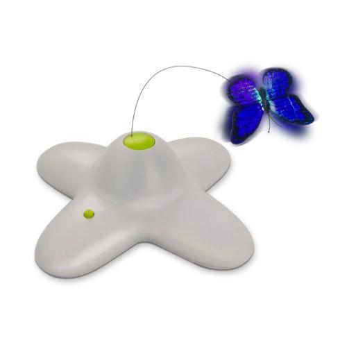 AFP INTERACTIVE FLUTTER BUG