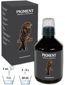 EASYYEM PIGMENT 100ML