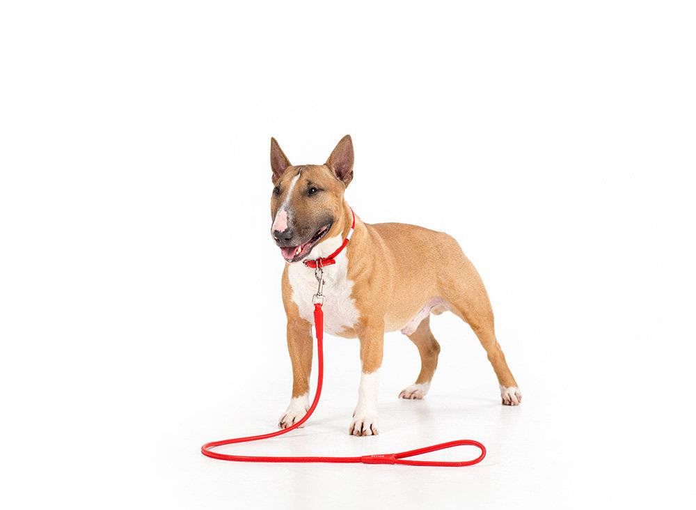 POV.GLAMOUR ORANŽEN (13MM/122CM)