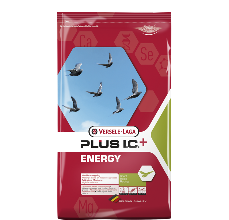 VL ENERGY PLUS IC GOLOBI 18KG