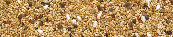 MANITOBA NEOPHEMA PARAKEETS 20KG