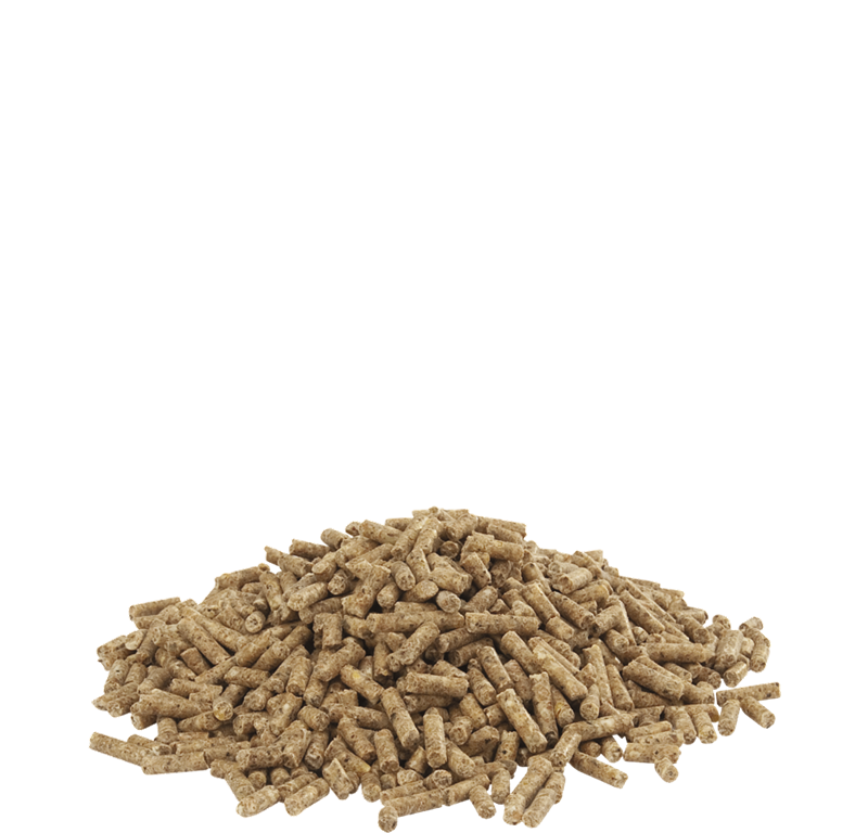COUNTRY'S BEST DUCK 2 GRO PELLET 20KG VL