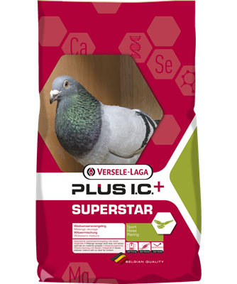 VL SUPERSTAR PLUS IC GOLOBI 20KG