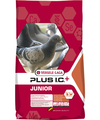 VL JUNIOR PLUS IC GOLOBI 20KG