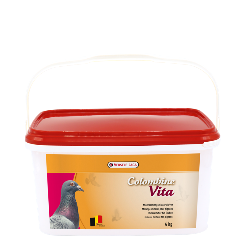 VITA VEDRO 4KG COL.VITA VL