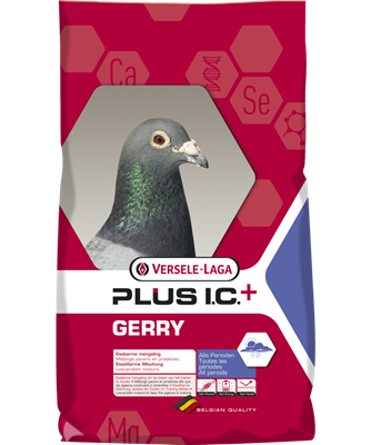 VL GERRY PLUS IC 20KG