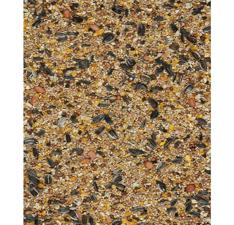 HRANA ZA ZUNANJE PTICE 4-SEASONS 1KG