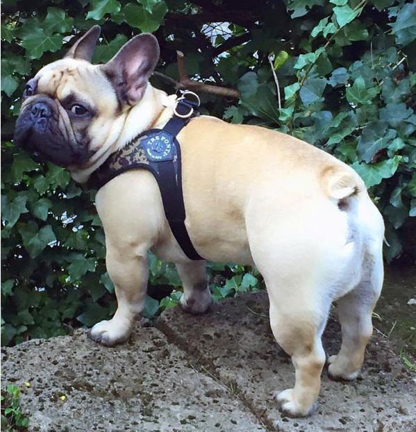 TRE PONTI nastavljiva oprsnica na klipsno - VOJAŠKA št. 1,5