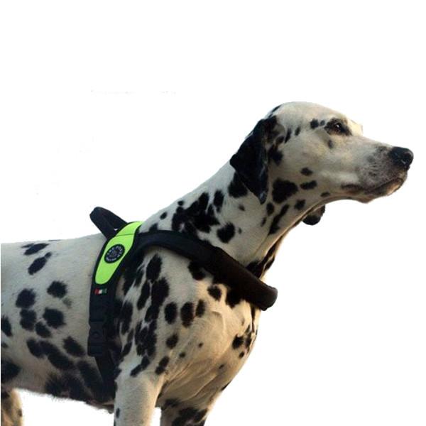 TRE PONTI oprsnica Primo - RDEČA št. L