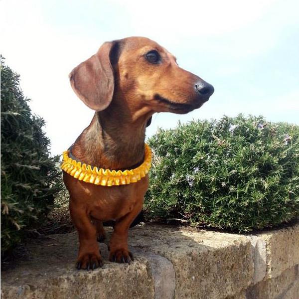 TRE PONTI oprsnica na trakec z naborki - RUMENA št. 1