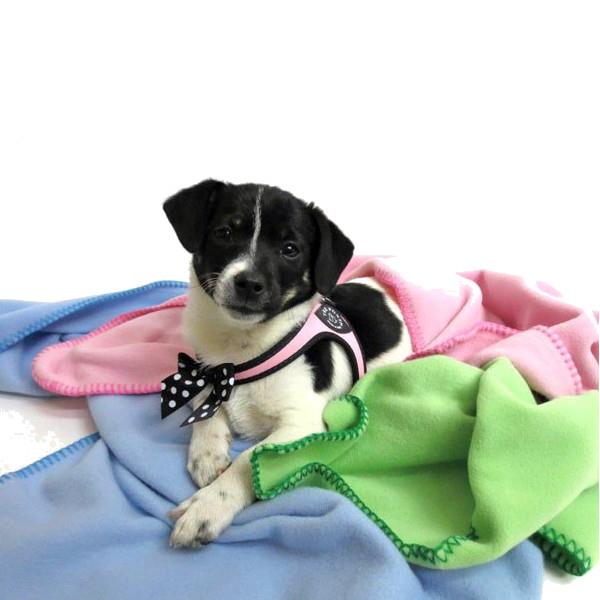 TRE PONTI oprsnica na klipsno z mašnico - ČRNA št. 2,5