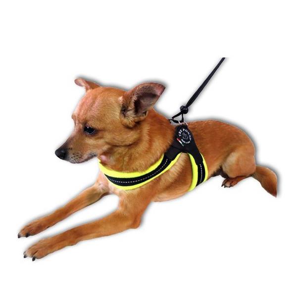 TRE PONTI oprsnica na trakec s flisom - RUMENA št. 1