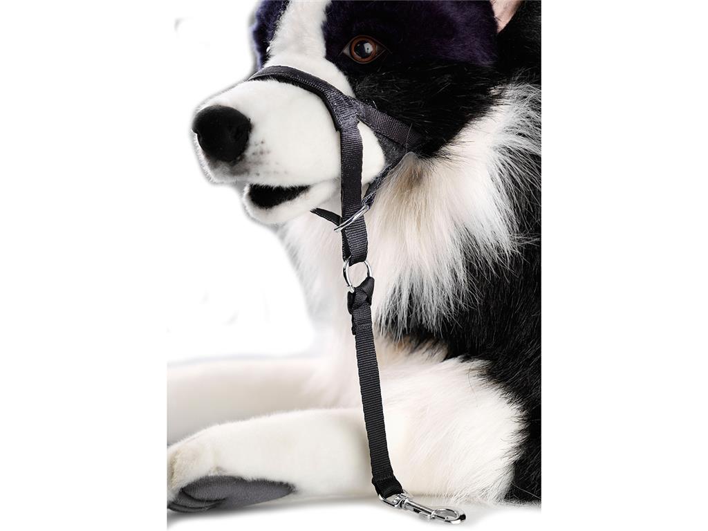 DOG CONTROL XL-ČRNA 48-62CM