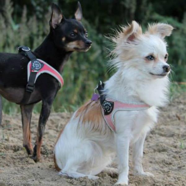 TRE PONTI nastavljiva oprsnica na klipsno - ČRNA št. 3