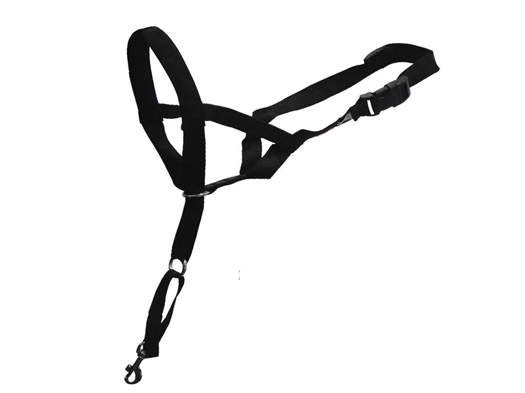 DOG CONTROL D&D S-BLACK 35-44CM-EBI