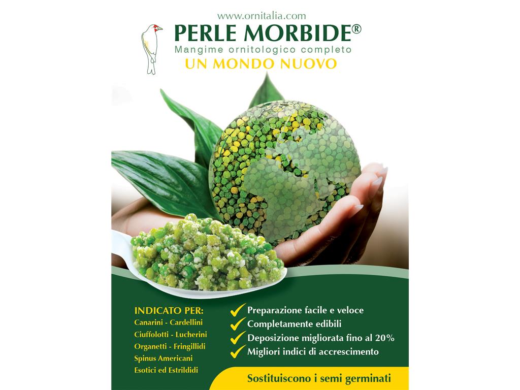 PERLE MORBIDE 800G ZELENA