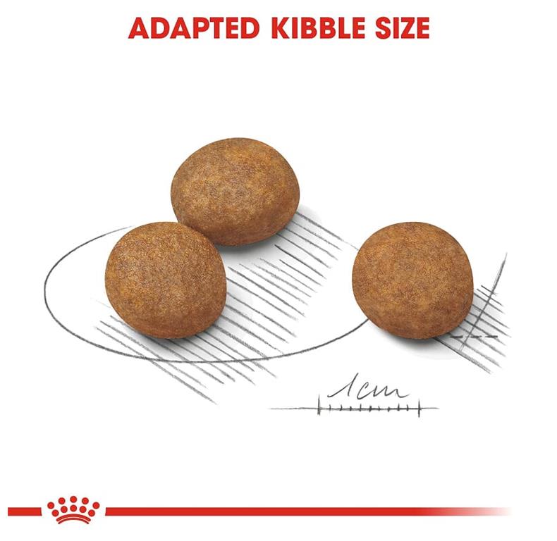 Royal Canin PUPPY MAXI 15 kg