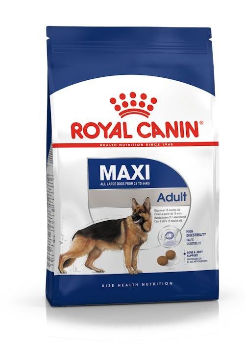 ROY.MAXI ADULT 4KG